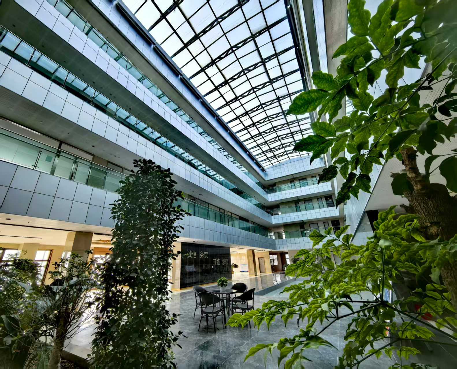 以心迎新，，，，，，让梦想在尊龙凯时扬帆启航  ——新入职员工岗前培训